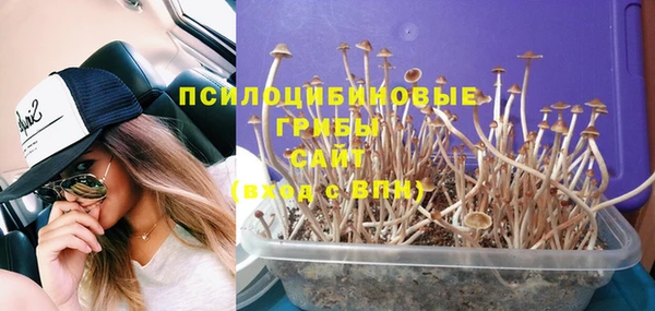 не бодяженный Алзамай