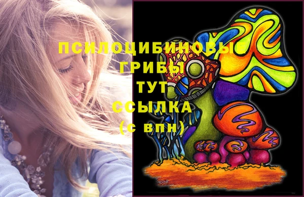 не бодяженный Алзамай
