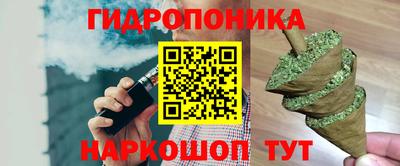 стафф Лесосибирск