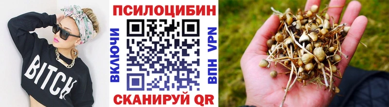 Галлюциногенные грибы прущие грибы  Губкин 
