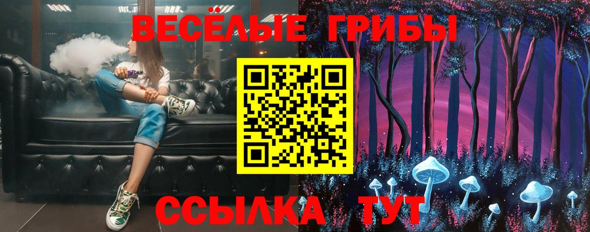 Псилоцибиновые грибы прущие грибы Губкин
